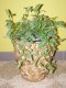 květináč - vodní hyacint VAW23026