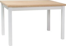 Jídelní stůl ADAM 100x60, dub/bílá mat