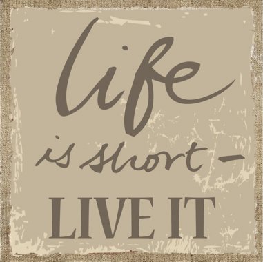 Obraz HA776343 s nápisem: "Život je krátký, tak žij" 