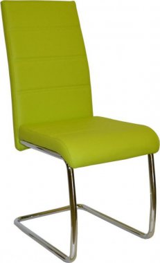 Jídelní židle Y 100 zelená