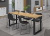 Jídelní stůl PILGRIM 138x90, artisan/černý kov