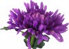 Chryzantéma , barva fialová. Květina umělá. VK-1249
