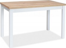 Jídelní stůl ADAM 100x60, dub zlatý craft/bílá mat