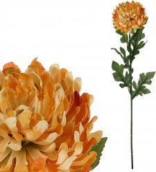 Chryzantéma velkokvětá, jednohlavá, barva oranžová žíhaná. KU4346