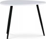 Oválný konferenční stolek AF-3011 WT/černý kov