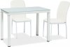 Jídelní stůl GALANT 60x100, kov/sklo, bílá